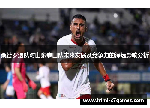 桑德罗退队对山东泰山队未来发展及竞争力的深远影响分析 桑德罗退队对山东泰山队未来发展及竞争力的深远影响分析