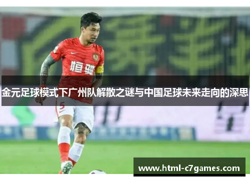 金元足球模式下广州队解散之谜与中国足球未来走向的深思